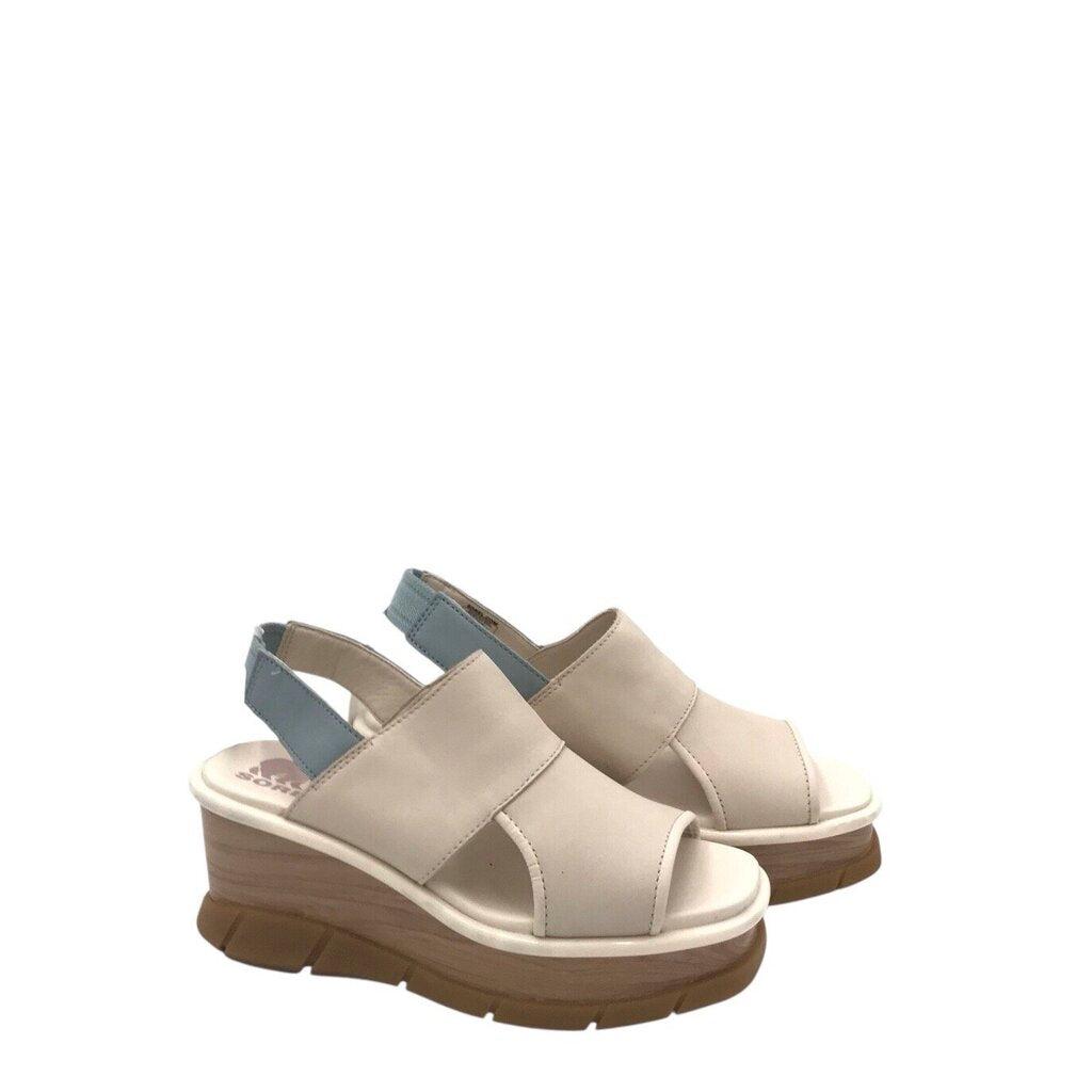 Slide image