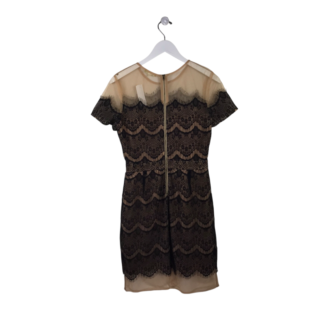 GIANNI BINI LACE SHORT SLEEVE DRESS BLACK BEIGE MEDIUM
